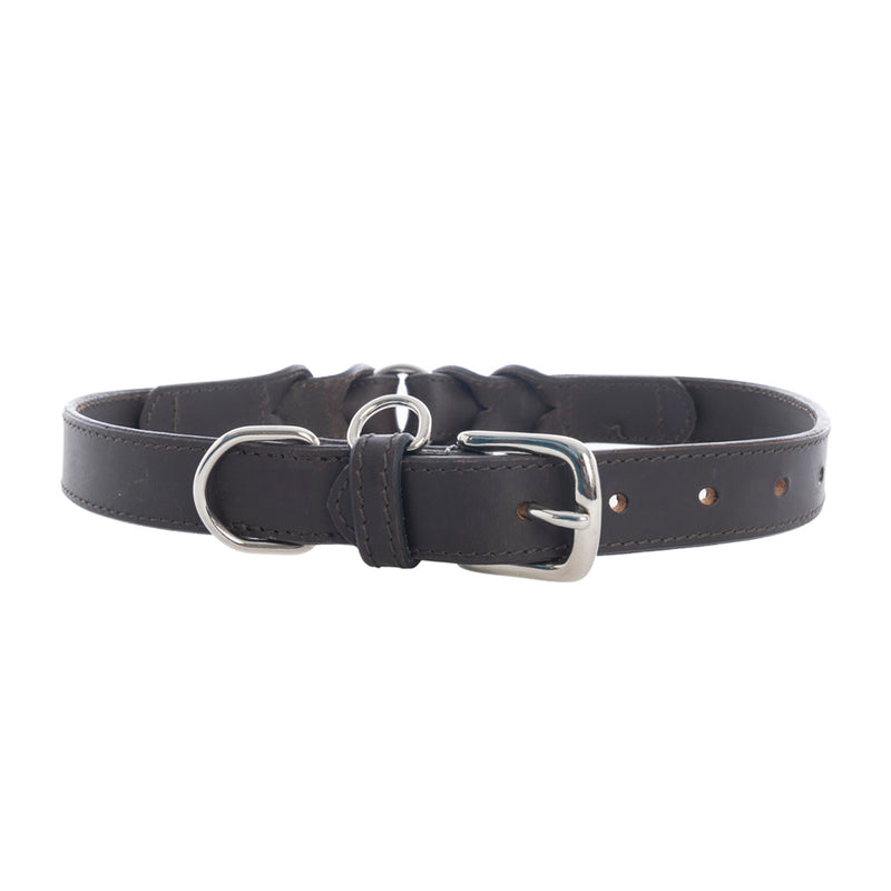 Topside Dog Collar in Ebony