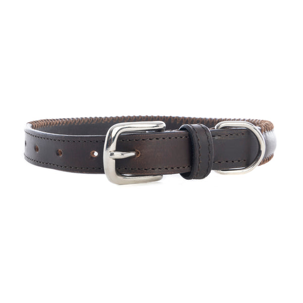 Rio Correr Dog Collar in Chocolate