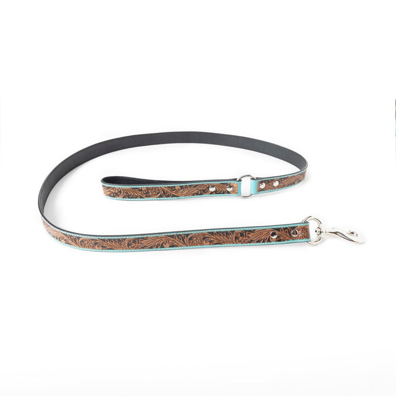 Luna Beam Dog Leash In Turquoise