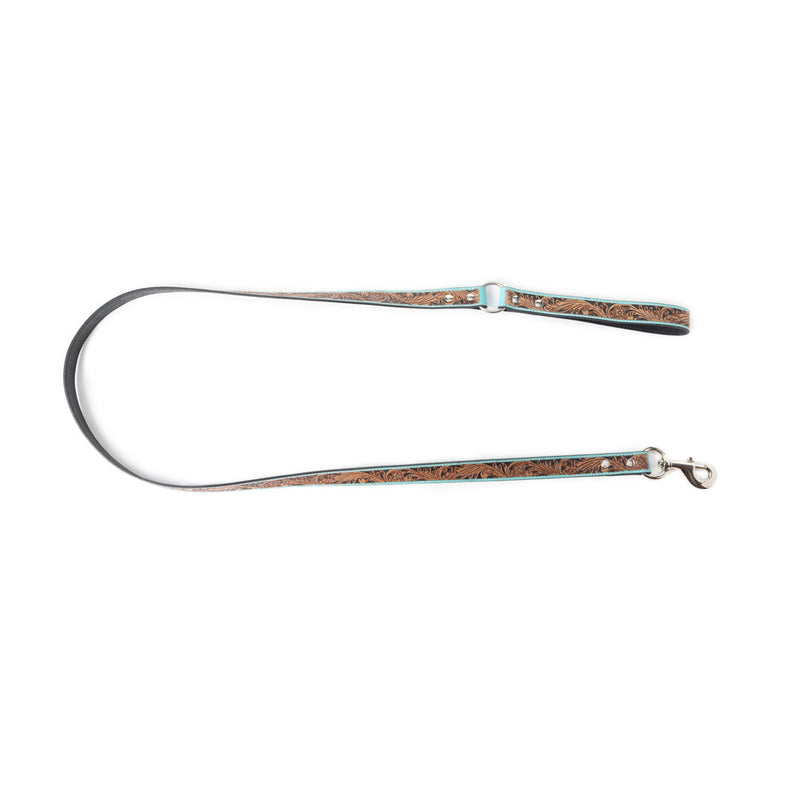 Luna Beam Dog Leash In Turquoise