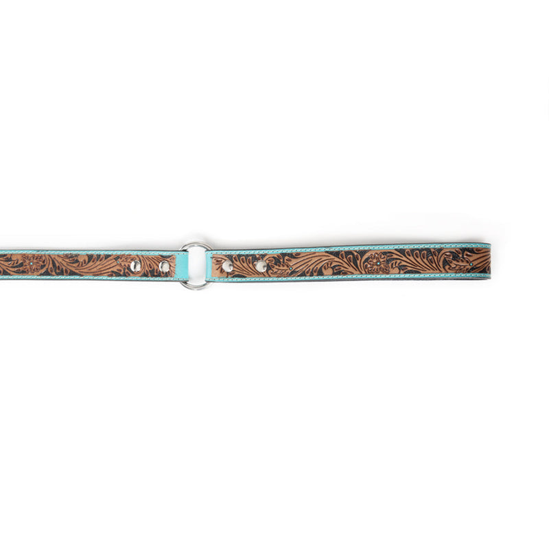 Luna Beam Dog Leash In Turquoise