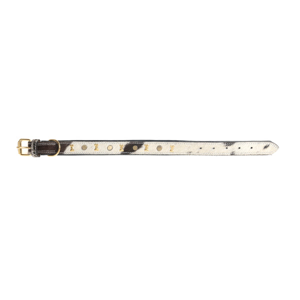 Prairie Paws Studded Hairon Dog Collar in Ash & Ivory - Myra USA
