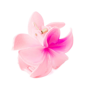 Desert Ridge Blossom Hair Clip in Pink - Myra USA
