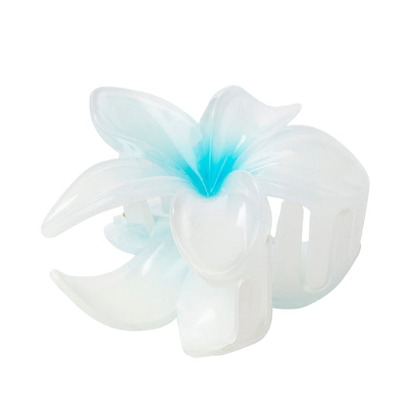 Desert Ridge Blossom Hair Clip in Sky - Myra USA