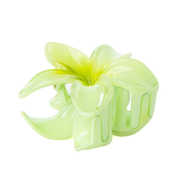 Desert Ridge Blossom Hair Clip in Cactus - Myra USA