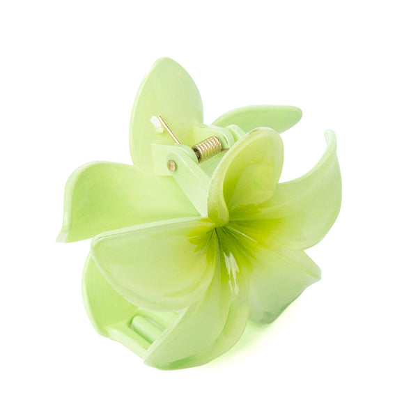 Desert Ridge Blossom Hair Clip in Cactus - Myra USA