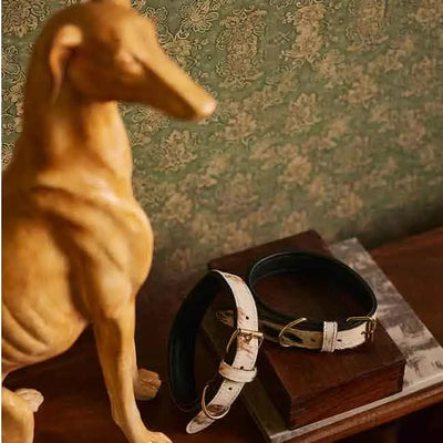 Pet Accessories