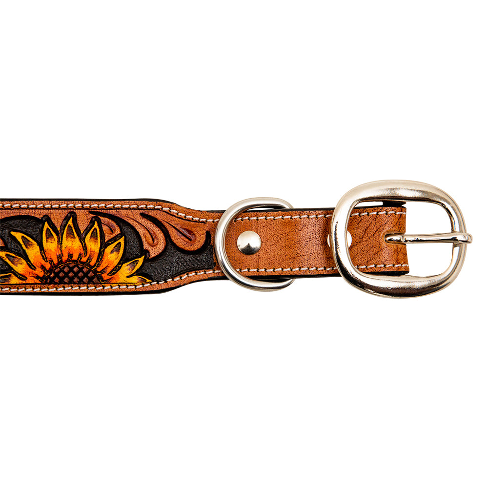 Zoomper Hand-Tooled Leather Dog Collar - MyraUSA