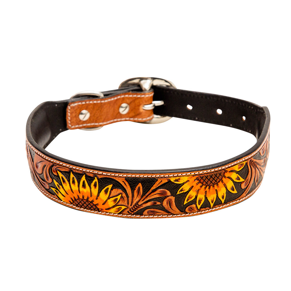 Zoomper Hand-Tooled Leather Dog Collar - MyraUSA