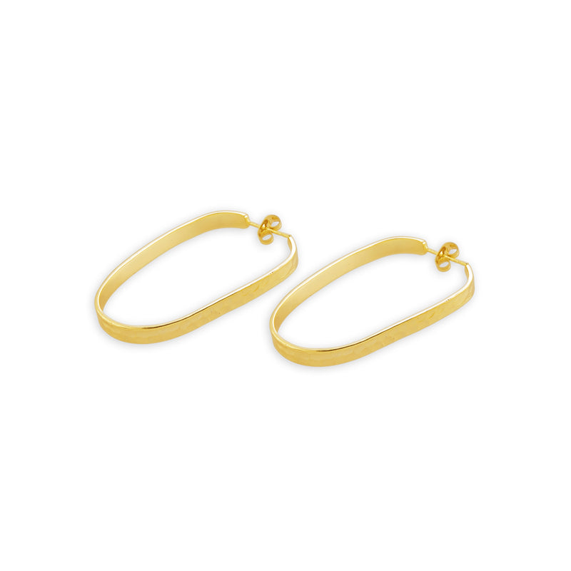 Radiance Gold Tone Earrings