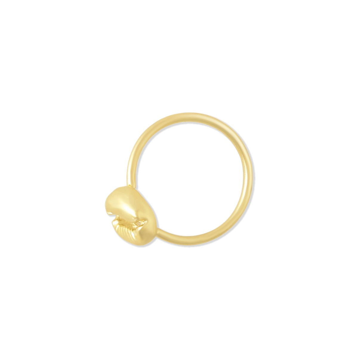 SHELL RING - MyraUSA